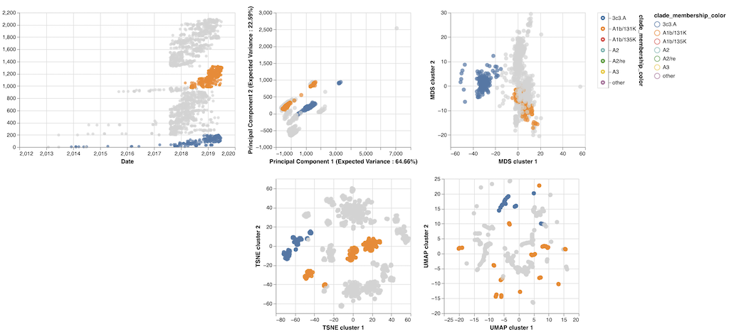 Sravani's final internship prototype showing maps based on flu mutations