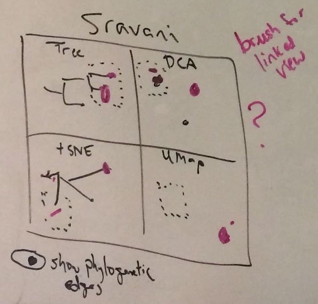 Original whiteboard sketch of Sravani's summer internship project