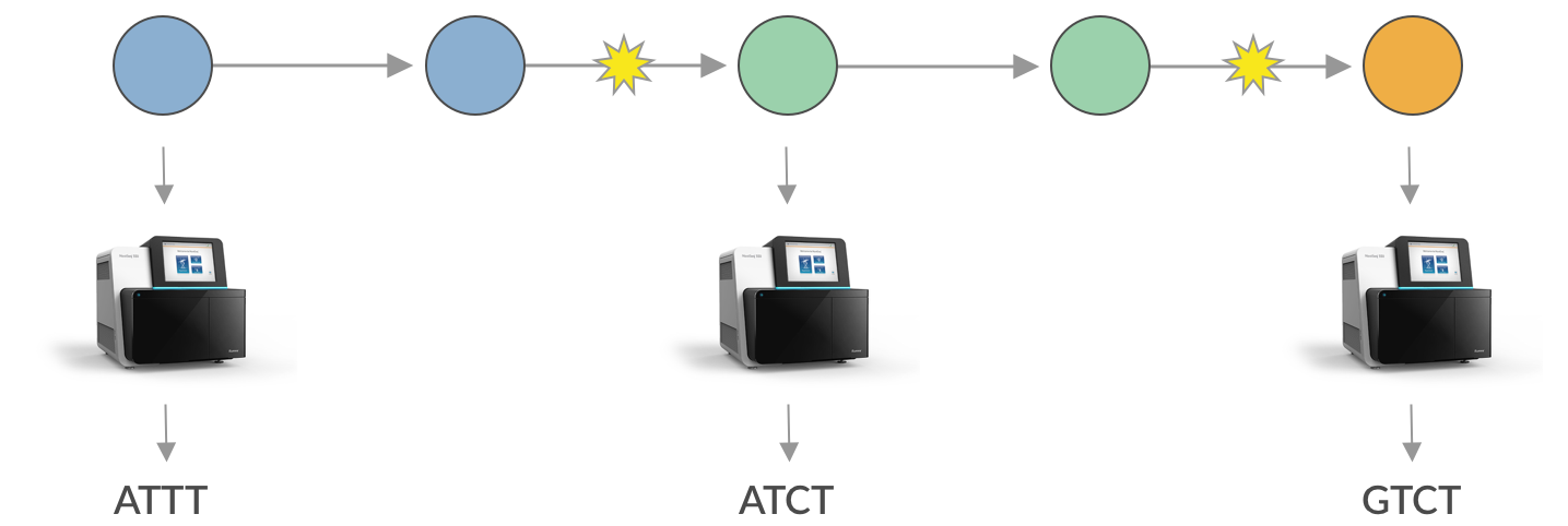 Cryptic Transmission Of Novel Coronavirus Revealed By Genomic Epidemiology